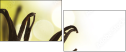 20383309