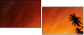 20708520
