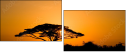 2165695