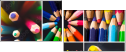 22530826