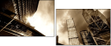 23366448