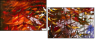 24600488