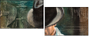 25062191