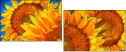 256376669