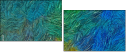 262122365