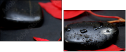26741750