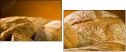 2788091