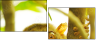 28835304
