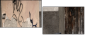 28835543