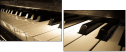 30665978