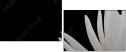 31116777