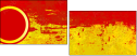 32019447
