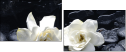 32251345