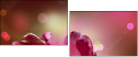 32312026