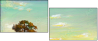 32752638