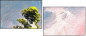 32752739