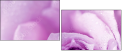 33326432