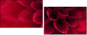 33891278
