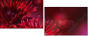 34304958