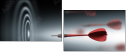 35036602