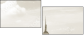 3629029