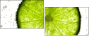 36604434