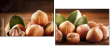 41588665