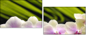 42014292