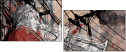 42962421