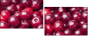 43026743