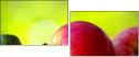 45125222