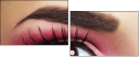 45479444