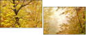 45637975