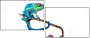 45946464
