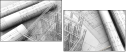 4616556