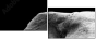 46583459