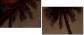 4823952
