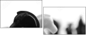 49013321