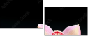 49497530