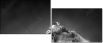 49654340