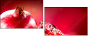 50426615