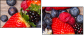 51088684