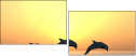 51168696