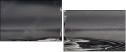 51619590