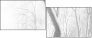 5173764