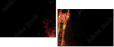 51795324