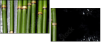 52100193