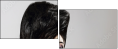 52842580