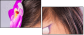 52845719