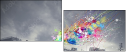 53196575